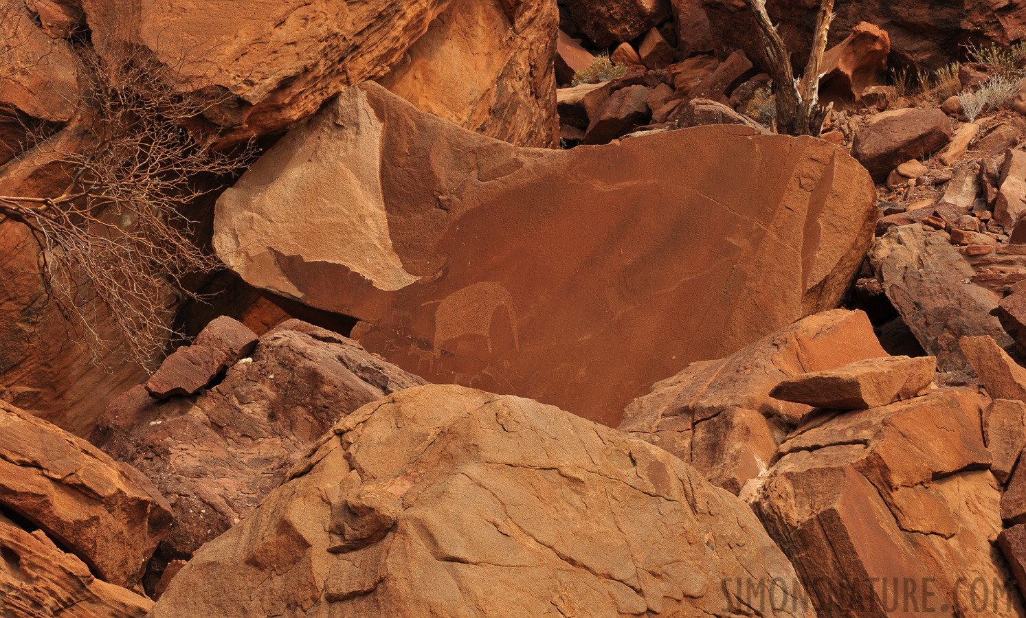 San People Rock Engravings [116 mm, 1/250 sec at f / 11, ISO 400]